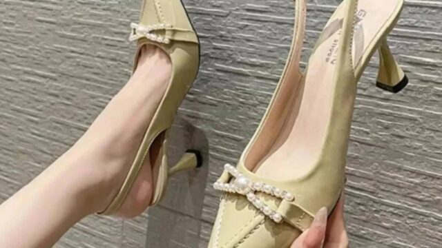 IMG_20241225_103237_794