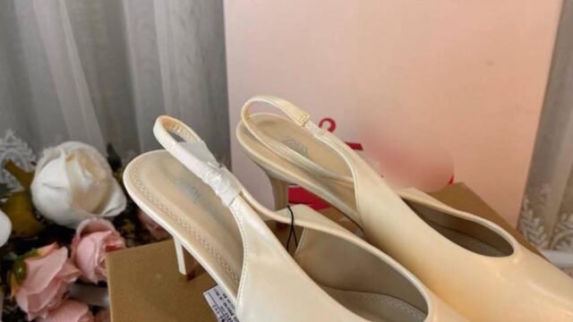 IMG_20241225_103237_891