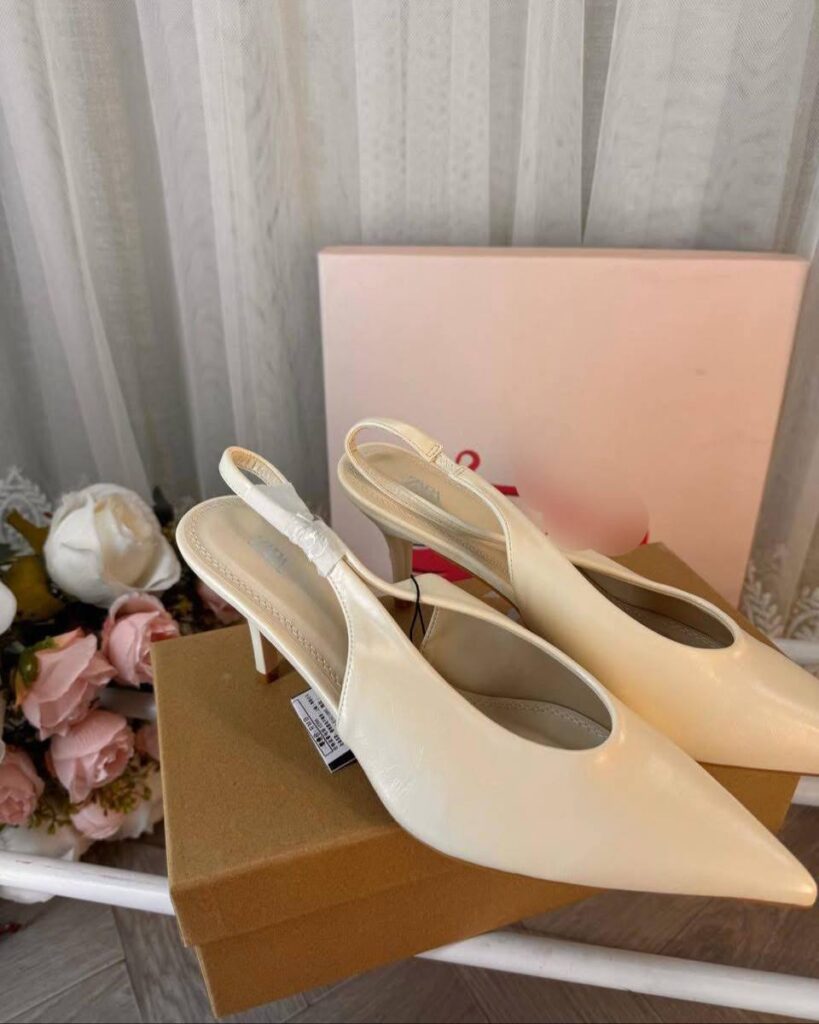 IMG_20241225_103237_891