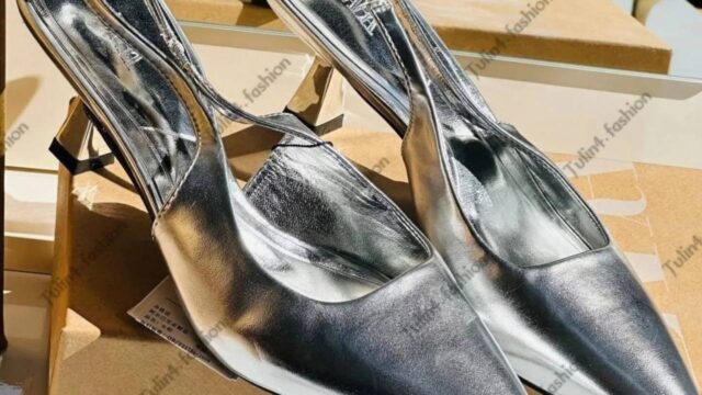 IMG_20241225_103237_961