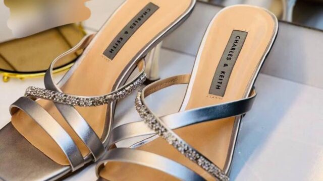 IMG_20241225_103238_149