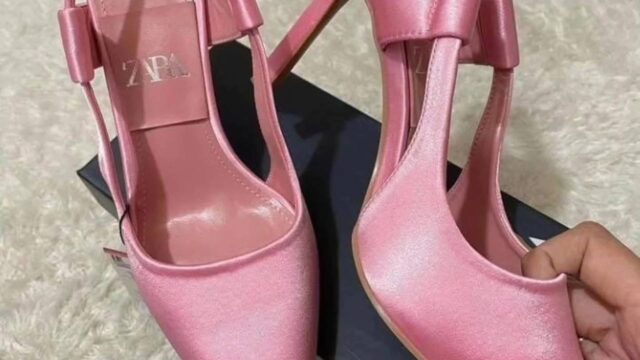 IMG_20241225_120129_538