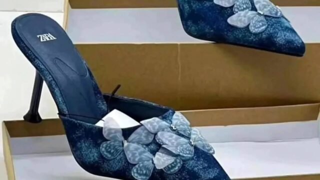 IMG_20241225_193501_334